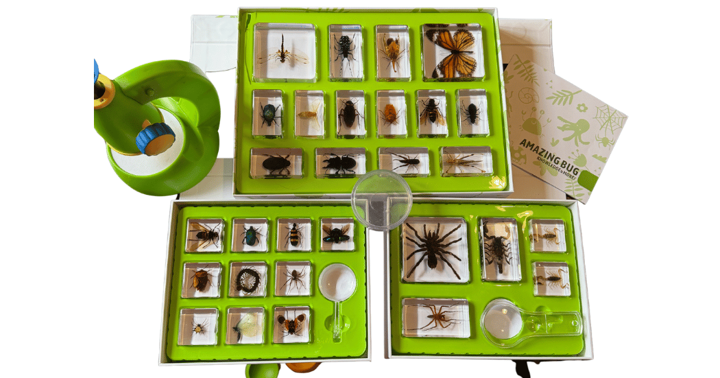 Insect World Resin and Magnifying Glass Set
